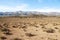 Semi-desert region with mountains and blue sky