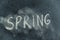 Semi-erased word SPRING on black chalkboard. Handwritten word. Fuzzy letters on black surface. The concept of the changing seasons