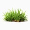 Semi-realistic Grass Scene On White Background