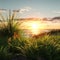 Semi-realistic Grass On Shore: Unreal Engine 5 Sunrise Scene