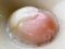 Semi-ripe boiled egg yolk and white egg in the white bowl