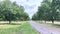 A semi truck driving on a rural road through a pecan tree farm