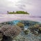 Semi Underwater Scene of Island and Reef