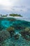 Semi Underwater Scene of Island and Reef