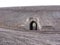 A semicircular stone arch under the embankment a passage under the mountain a tunnel