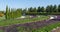 Semicircular terraces with sage go down to rows of trimmed Thuja plicata Western red cedar. Top view of city park Krasnodar