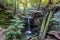 Sempervirens Falls in Big Basin Redwoods State Park, California