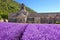 Senanque Abbey with beautiful lavender, Provence, France