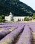 Senanque abbey, Provence