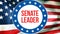 Senate Leader election on a USA background, 3D rendering. United States of America flag waving in the wind. Voting, Freedom