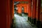 Senbon Torii at Fushimi Inari Shrine.