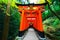 Senbon Torii at Fushimi Inari ShrineFushimi Inari Taisha.