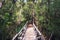 Sendero El Tepual footpath at Chiloe National Park - Chiloe Island, Chile