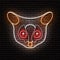 The Senegal bushbaby, Galago senegalensis, the head of an animal in the form of a neon sign.