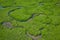 Senegal Mangroves. Aerial view of mangrove forest in the  Saloum Delta National Park, Joal Fadiout, Senegal. Photo made by drone