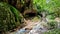Senerchia - Grotta del Muschio lungo il torrente Acquabianca
