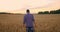 Senior adult farmer Walks in a field of wheat in a cap at sunset passing his hand over the Golden-colored ears at sunset