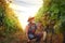 Senior adult man harvesting wine grape at vineyard
