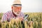 Senior agronomist or farmer examining wheat plants before the harvest