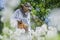 Senior apiarist in apiary making inspection