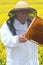 Senior apiarist working in the blooming rapeseed field