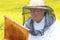 Senior apiarist working in the blooming rapeseed field