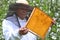 Senior beekeeper making inspection in apiary