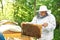 Senior beekeeper working at his apiary