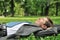 Senior business man lying in grass