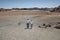 Senior Caucasian couple visiting the unusual sand dunes at Minas de San Jose, Tenerife, Canary Islands, Spain