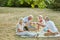 Senior citizens having fun at a picnic