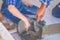 Senior contractor teaching a boy kid to mix cement for construction learning concept