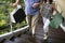 Senior couple climbing upstairs shopping