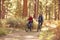 Senior Couple Cycling Through Fall Woodland