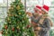 Senior couple decorate Christmas tree together in Christmas festival