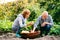 Senior couple gardening in the backyard garden.