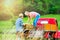 Senior couple harvesting apples, loading them into vintage car