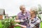 Senior couple harvesting currant at summer garden