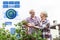 Senior couple harvesting currant at summer garden