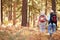 Senior couple hiking in a forest, back view, California, USA