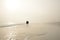 Senior couple holding hands walking on beach enjoying sunrise.