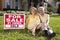 Senior Couple and House For Sale Sold Sign