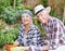 Senior couple, laugh and plant outdoor for gardening, love and sustainability in home. Man, woman and flowers outside