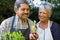 Senior couple looking sapling plant in garden