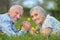 Senior couple lying on green meadow with dandelions