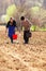 Senior couple planting on their land