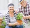 Senior couple, smile and portrait with plant in garden for love and sustainability in home. Man, woman and flowers