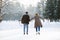 Senior couple in sunny winter nature ice skating, rear view.