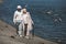 Senior couple walking embracing at quay and looking at flying birds