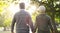 Senior couple, walking and outdoor at a park with a love, care and support from back. A elderly man and woman holding